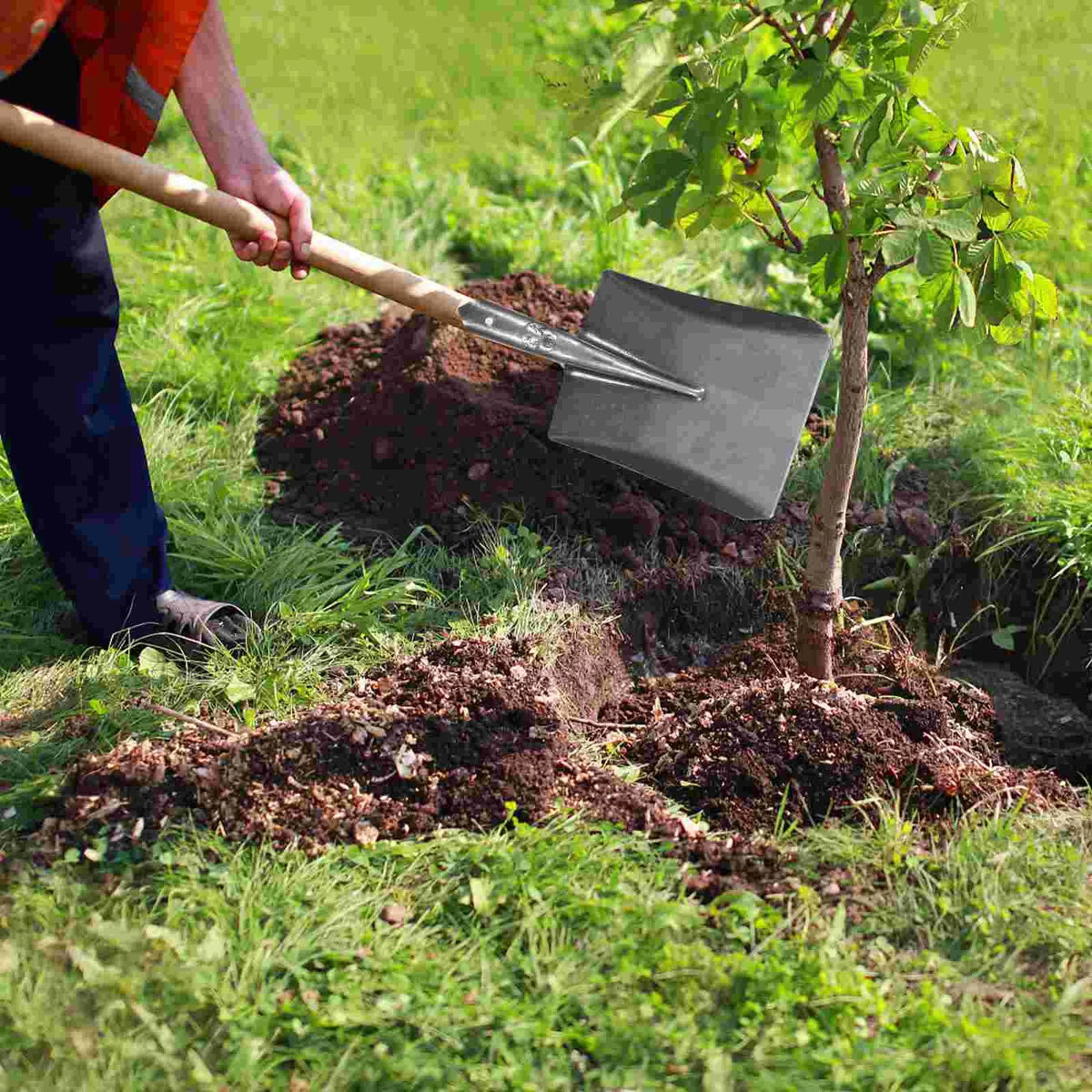 Avtoit | TerraGrip Garden Spade | Extra Robust & Handy | For Roots & Lawn Edges | Carbon Steel Rust-Free