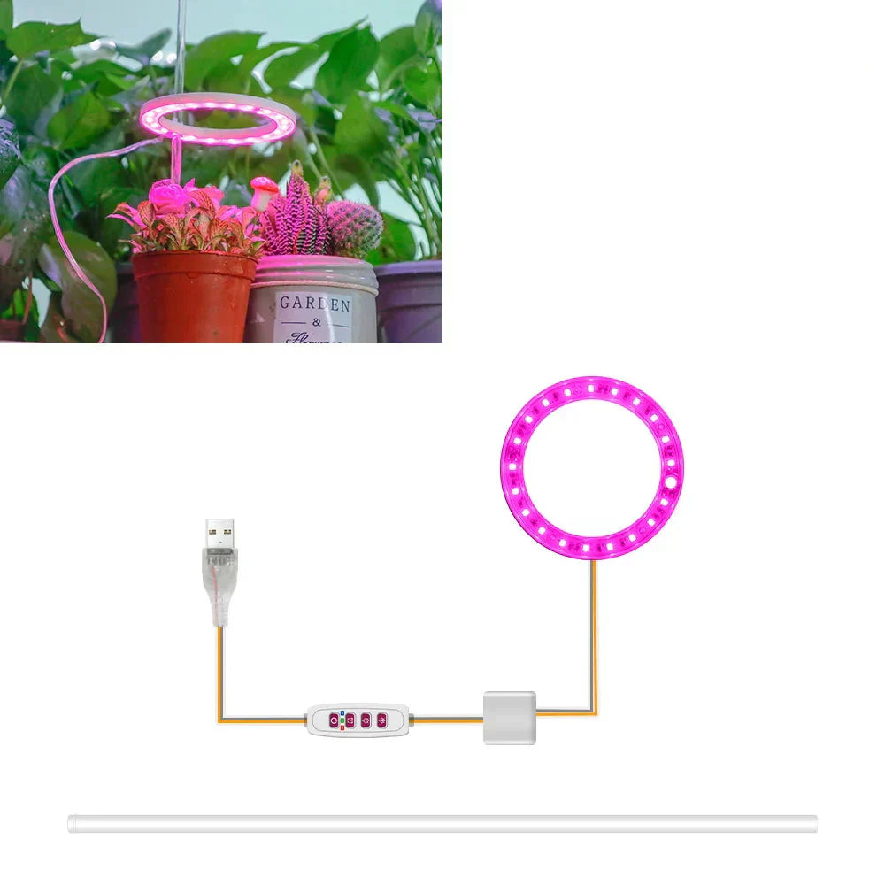 Avtoit | Plantuno Ring Plant Light | LED Grow Light with Timer | USB | Dimmable & 3 Light Colors | 1–4 Heads