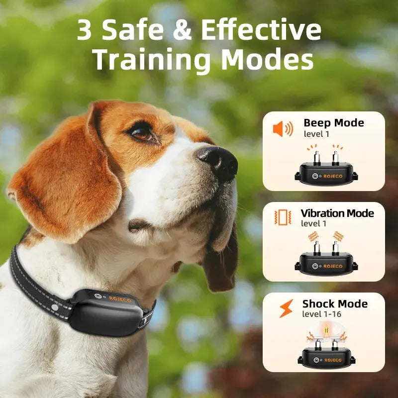 Avtoit | ProTrain – Rechargeable Waterproof Dog Training Collar with Remote