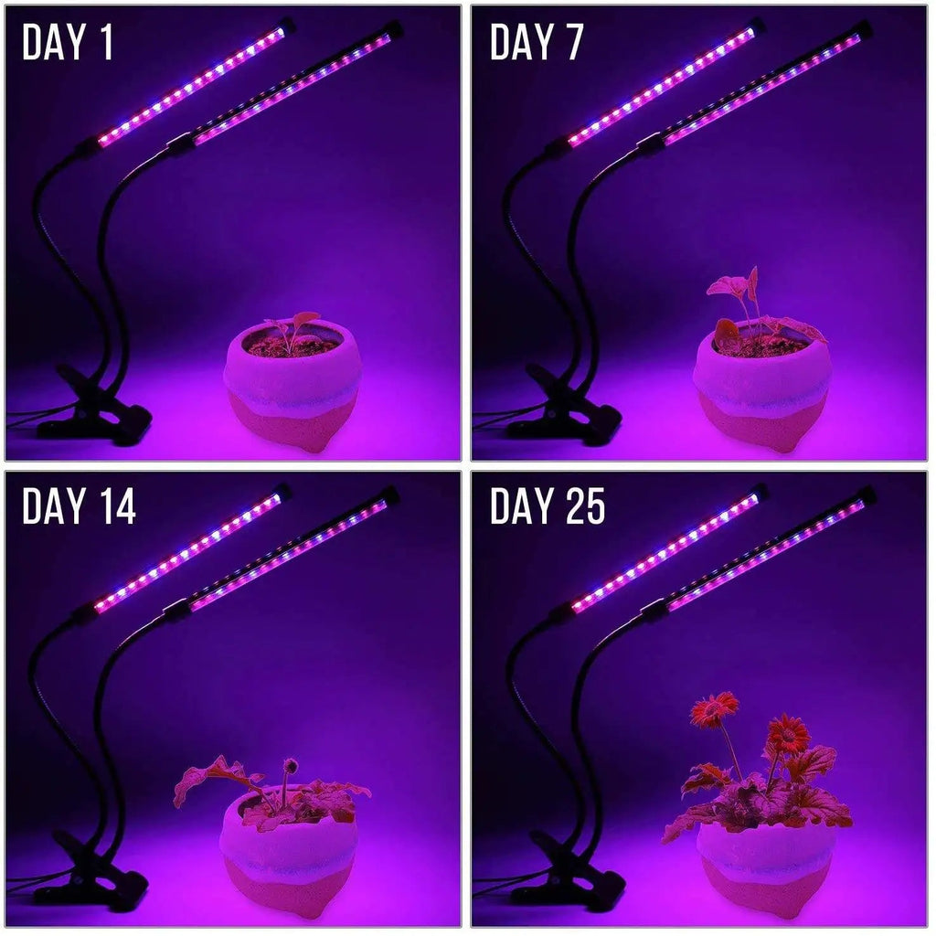 Avtoit | LumiPlant LED Plant Light | USB Grow Light | 1–4 Heads | Dimmable with Timer