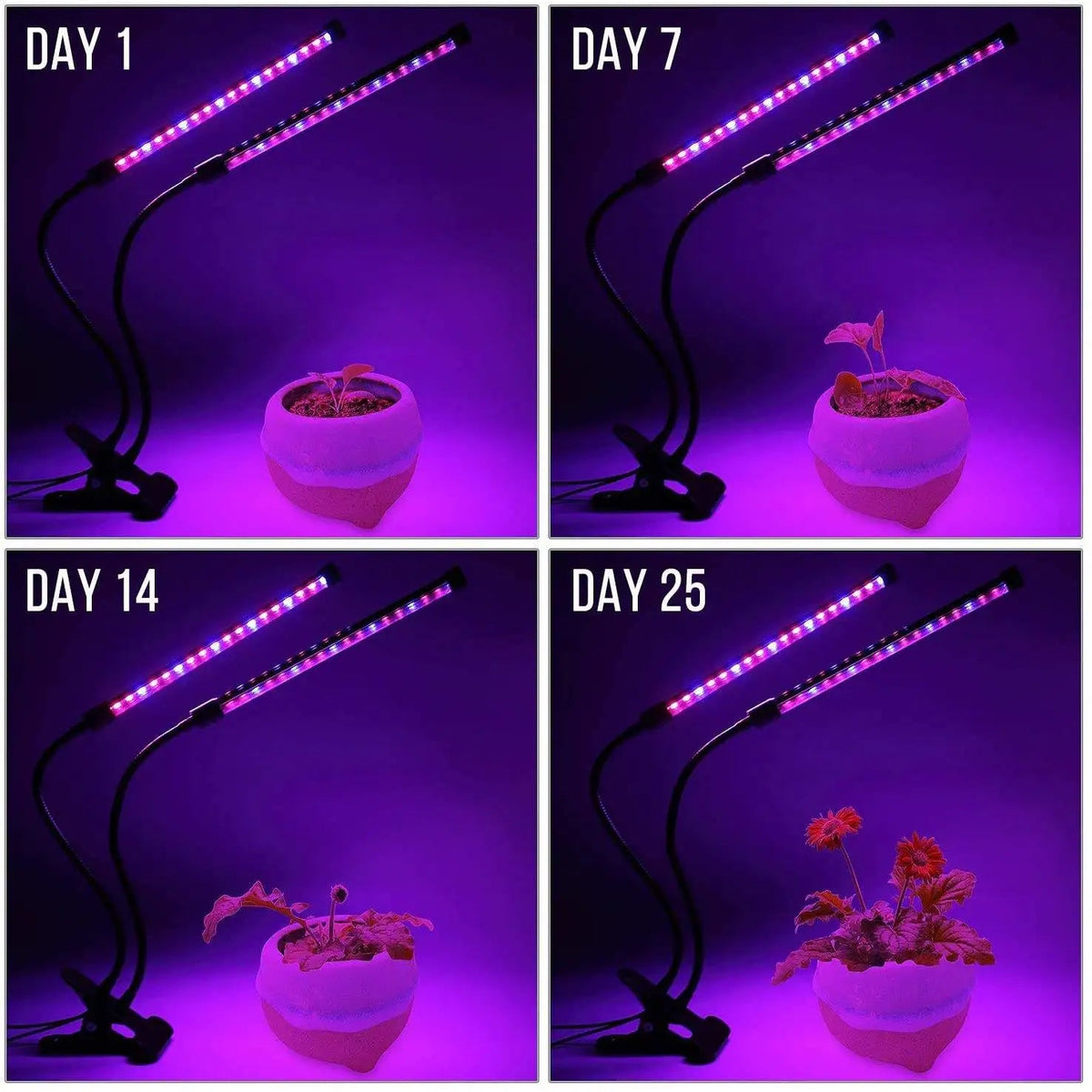 Avtoit | LumiPlant LED Plant Light | USB Grow Light | 1–4 Heads | Dimmable with Timer
