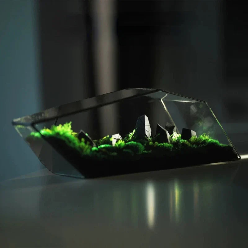 Avtoit | Geometric Glass Moss Planter Terrarium Vase
