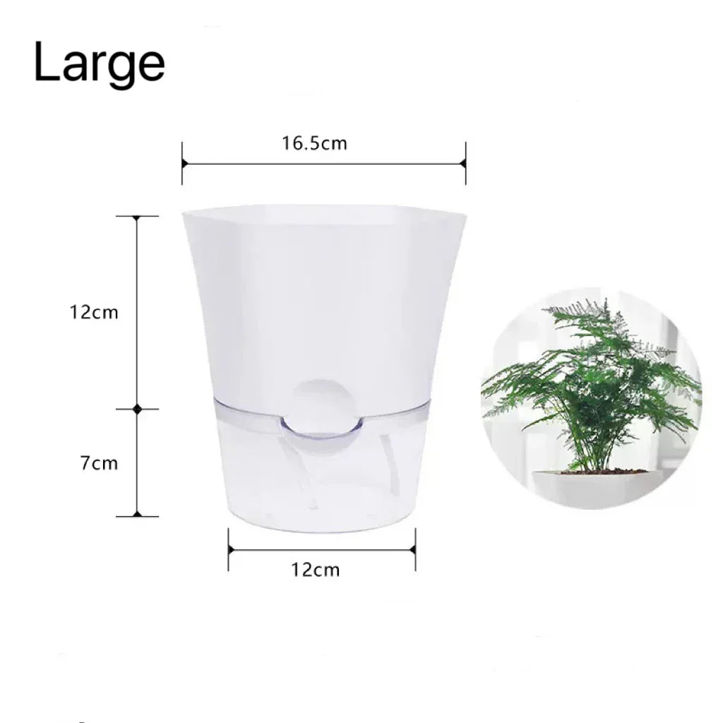 Avtoit | Plantilo Self-watering Flower Pot | Transparent | Automatic Water Supply | For Houseplants