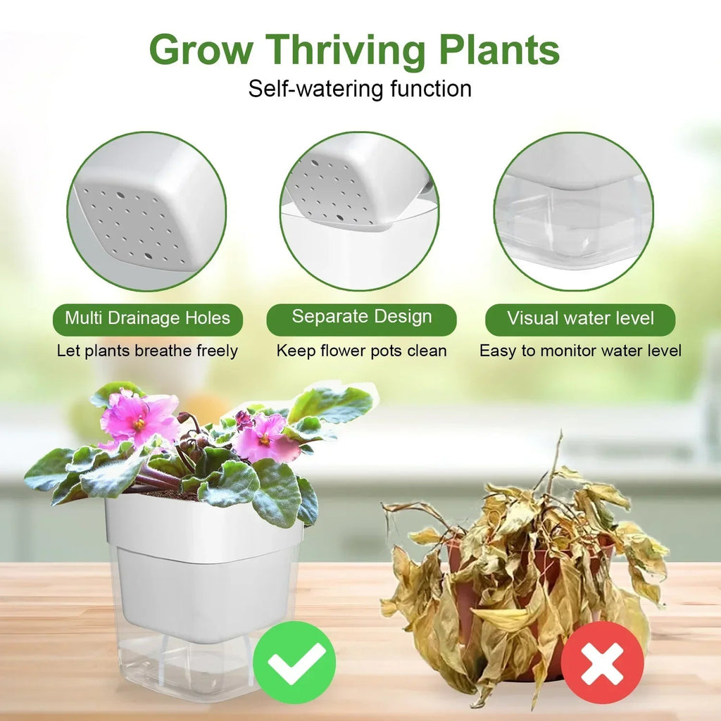 Avtoit | HydroLino Flower Pot | Self-Watering | Compact & Transparent | For Indoor Use