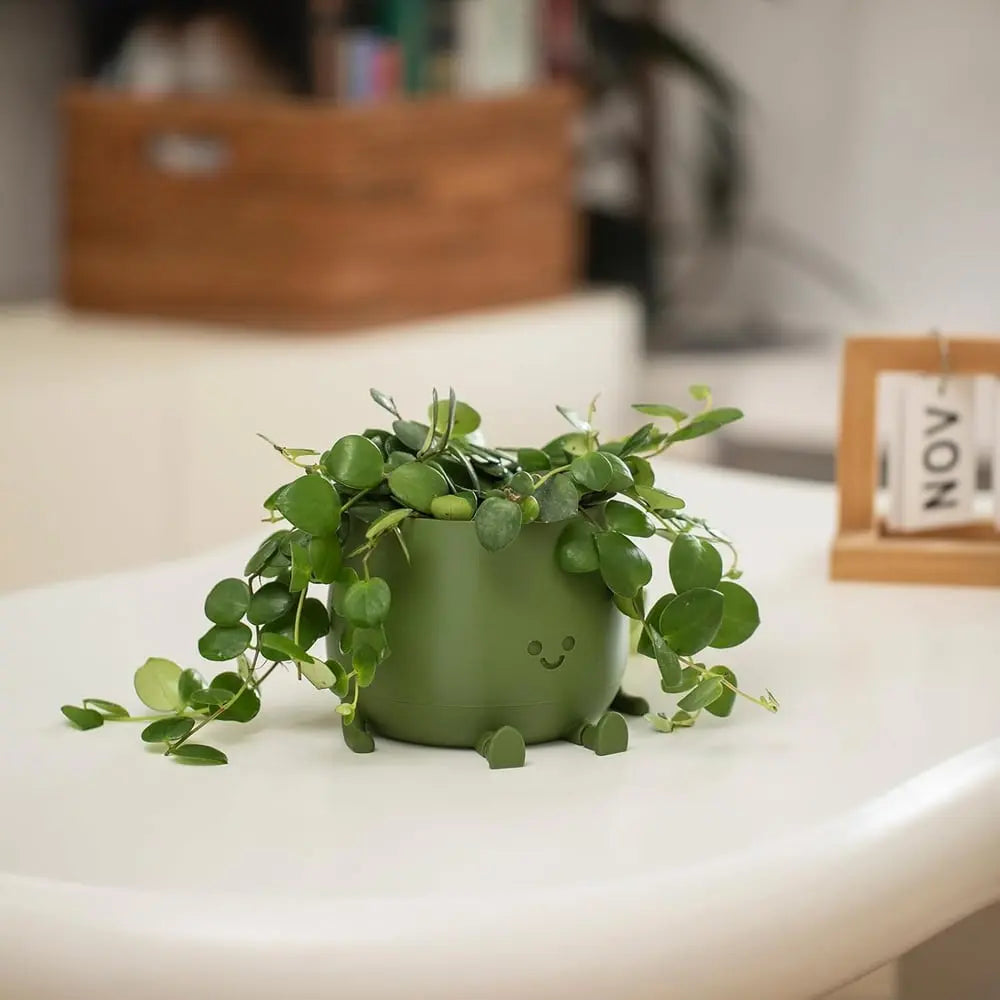 Avtoit | Self-watering Flower Pot – Cute face with flexible legs!