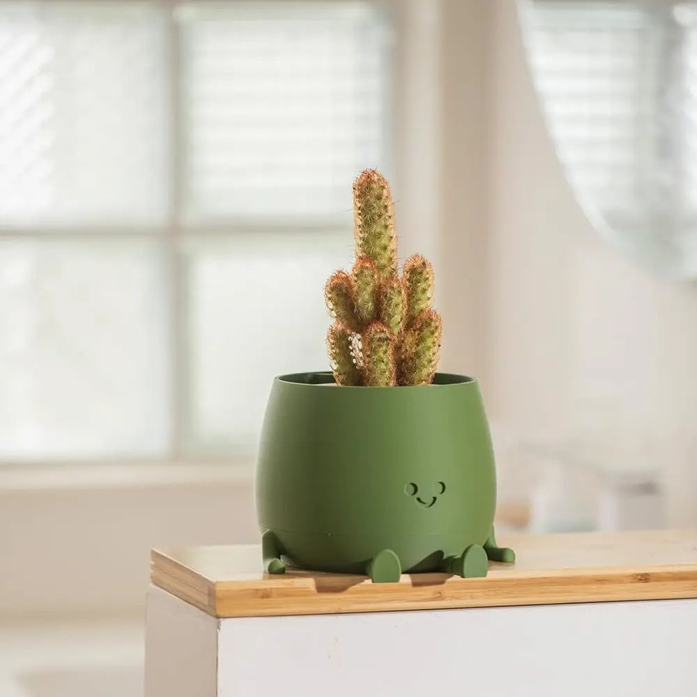 Avtoit | Self-watering Flower Pot – Cute face with flexible legs!
