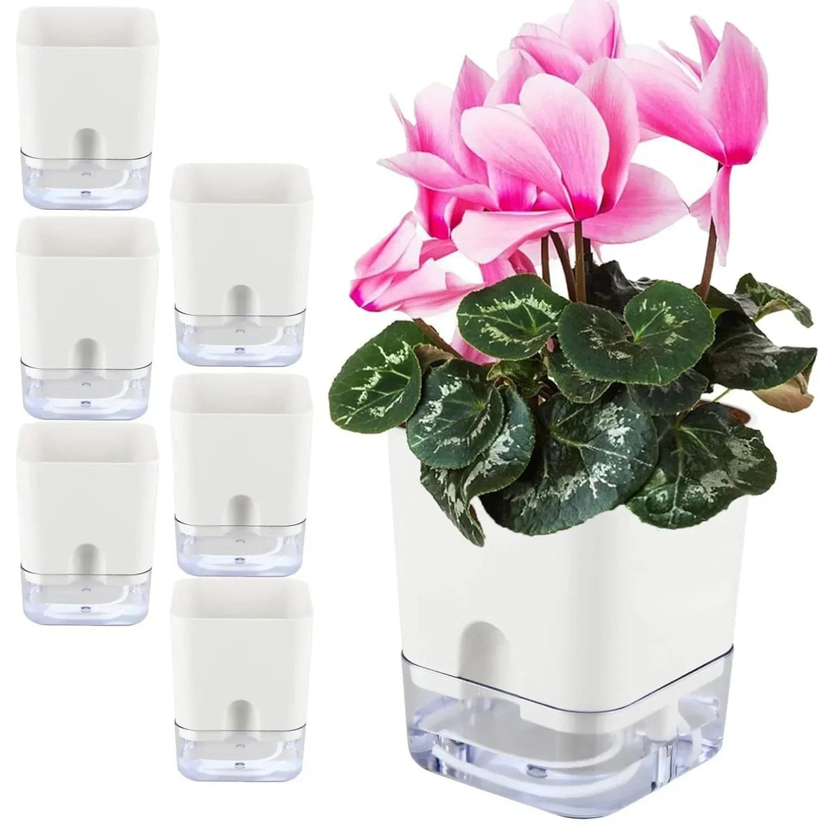 Avtoit | HydroLino Flower Pot | Self-Watering | Compact & Transparent | For Indoor Use