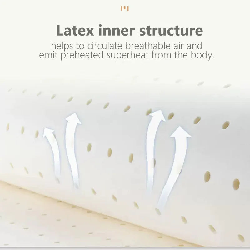 Avtoit | Ultra Cool Latex Washable Comfy Reading Back Pillow