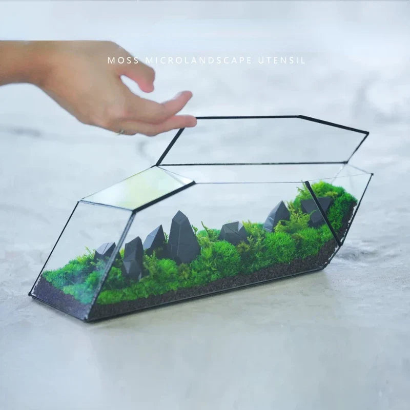 Avtoit | Geometric Glass Moss Planter Terrarium Vase