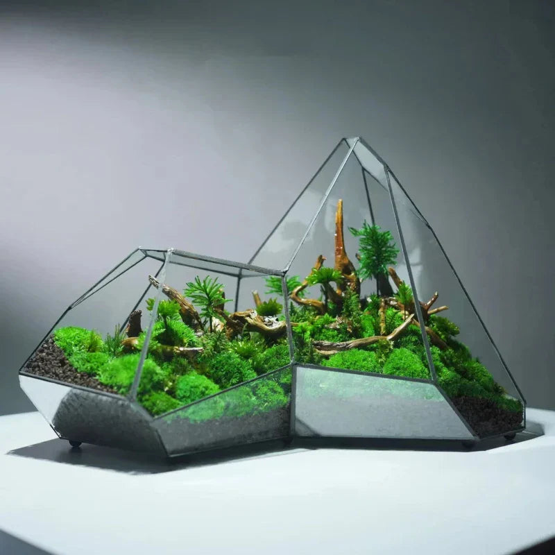 Avtoit | Geometric Glass Moss Planter Terrarium Vase