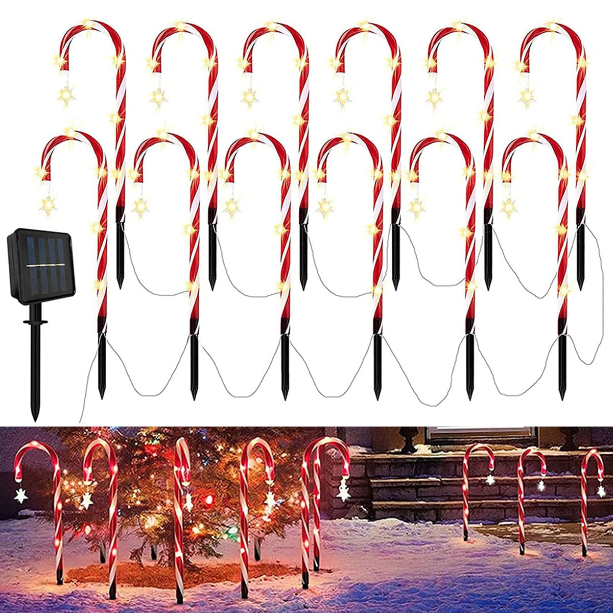 Avtoit | Candy Cane Lane LED Solar Lamp