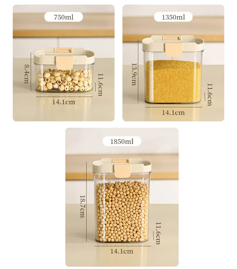 Avtoit | Stackable Transparent Snap-Lock Storage Box