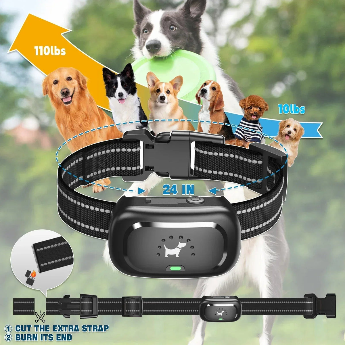 Avtoit | Dog Training Collar with Remote – Shock Lock, Sound & Vibration Modes, Waterproof, 1600ft Range