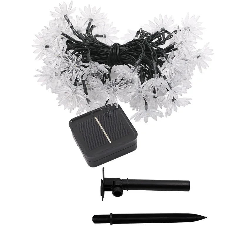 Avtoit | Peach Blossom Fairy Lights