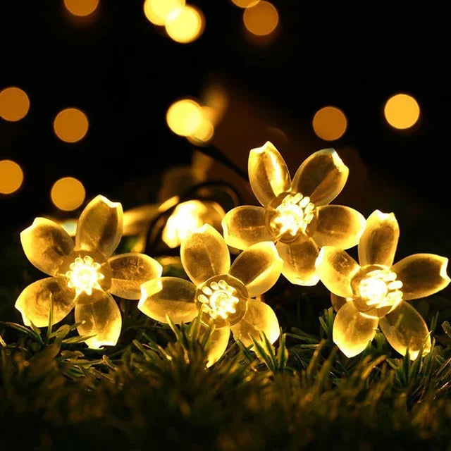 Avtoit | Peach Blossom Fairy Lights