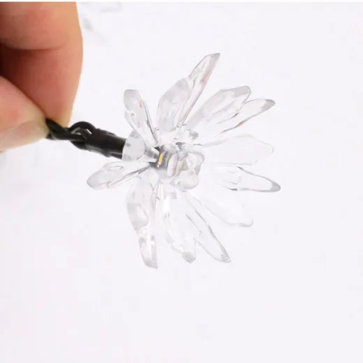 Avtoit | Peach Blossom Fairy Lights