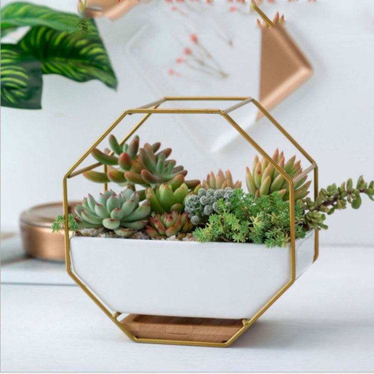 Avtoit | Simple octagonal geometric wall-mounted table succulent plate bamboo support iron frame flower pot (Gold)