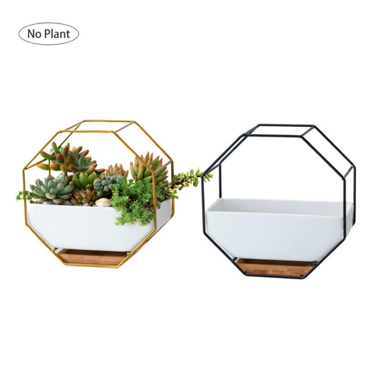 Avtoit | Simple octagonal geometric wall-mounted table succulent plate bamboo support iron frame flower pot (Gold)