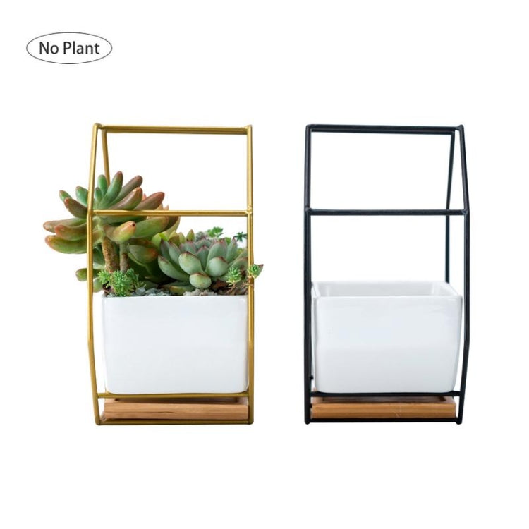 Avtoit | Simple octagonal geometric wall-mounted table succulent plate bamboo support iron frame flower pot (Gold)