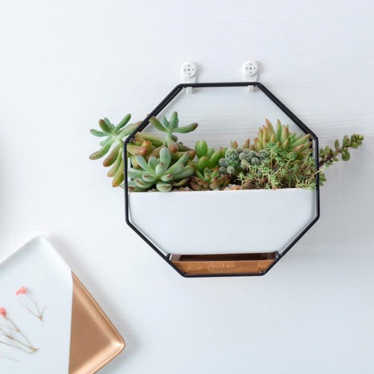 Avtoit | Simple octagonal geometric wall-mounted table succulent plate bamboo support iron frame flower pot (Gold)