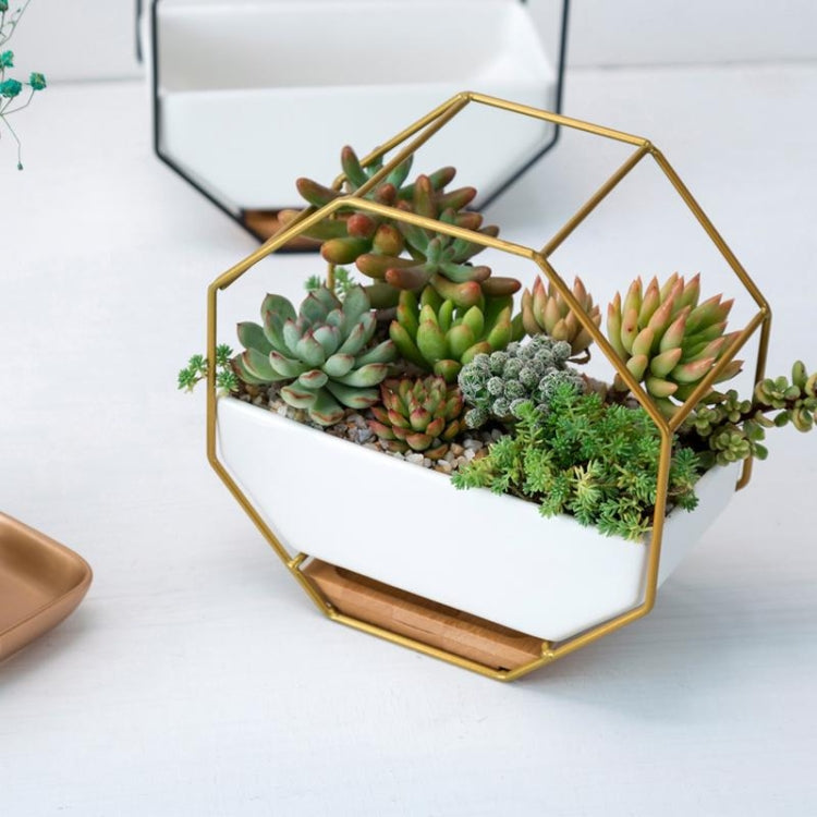 Avtoit | Simple octagonal geometric wall-mounted table succulent plate bamboo support iron frame flower pot (Gold)