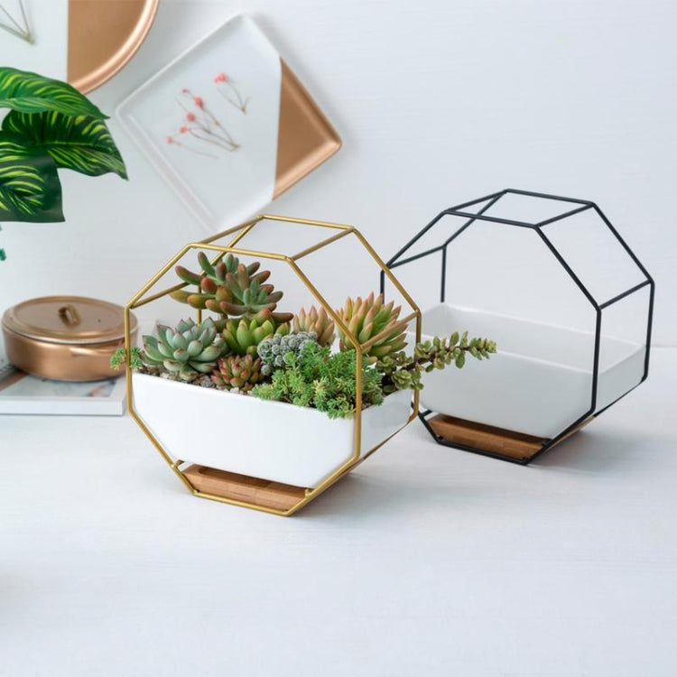 Avtoit | Simple octagonal geometric wall-mounted table succulent plate bamboo support iron frame flower pot (Gold)