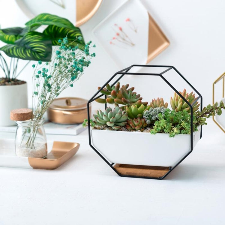 Avtoit | Simple octagonal geometric wall-mounted table succulent plate bamboo support iron frame flower pot (Gold)