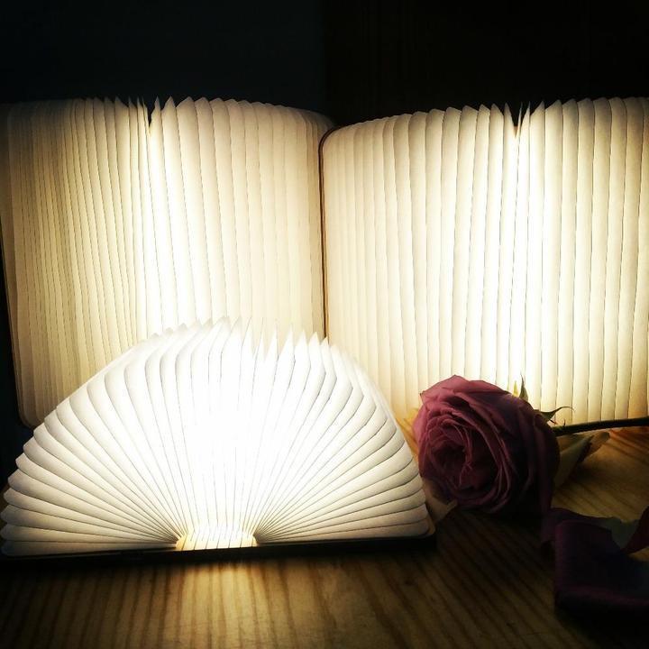 Avtoit | Lumio Style LED (Folding) Book Lamp!