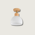 Avtoit | PerfkShine - Contemporary Ceiling Light