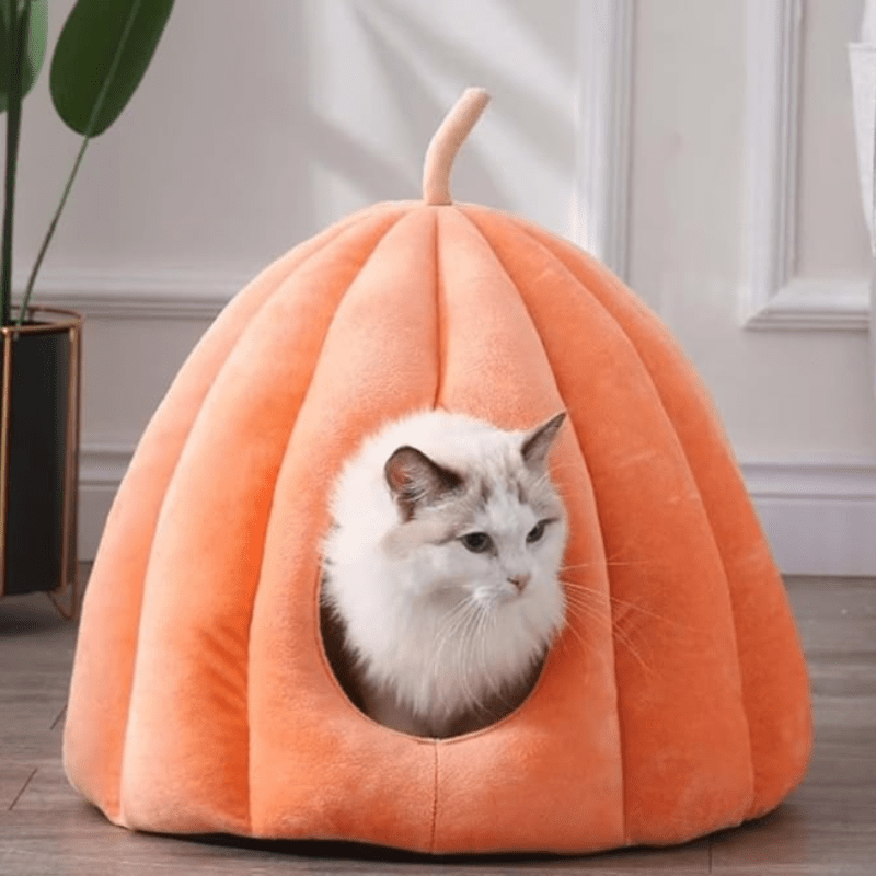 Avtoit | CozyNest Pumpkin Cat Bed – Warm, Washable & Comfortable Cat Hideaway