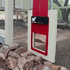 Avtoit | Automatic Chicken Pen Hen Coop Poultry Door Opener