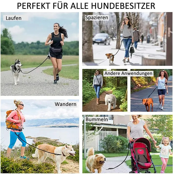 Avtoit | Hands-free walking – with leash & bag in one