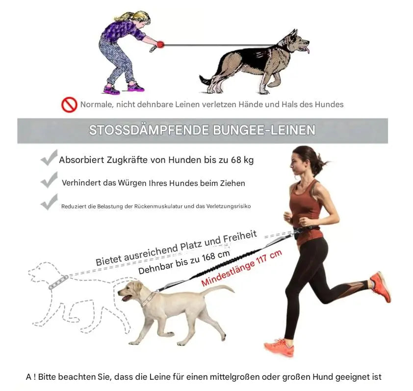 Avtoit | Hands-free walking – with leash & bag in one