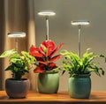 Avtoit | Adjustable LED Plant Lamp – Optimal Light for Healthy Growth