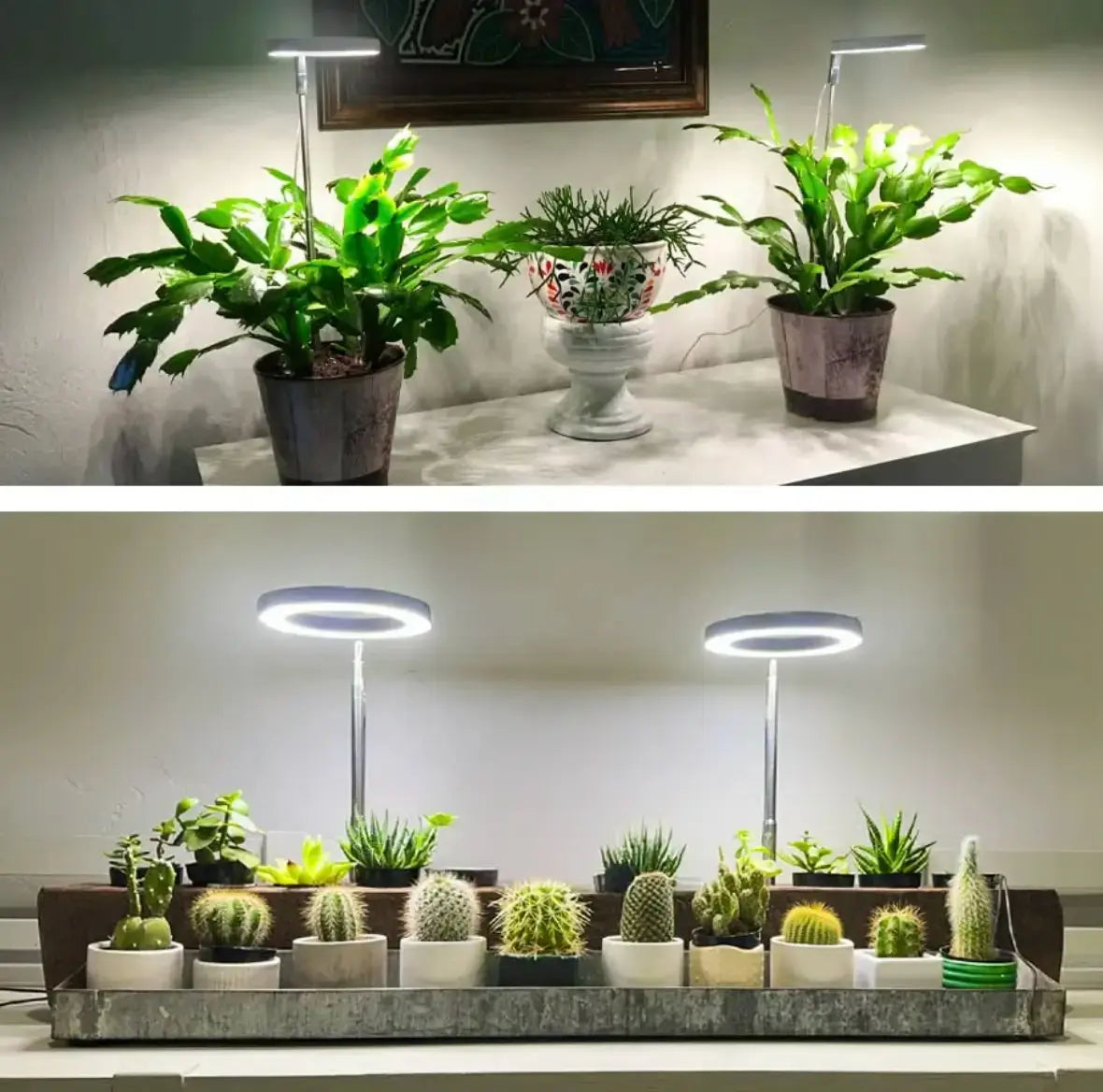 Avtoit | Adjustable LED Plant Lamp – Optimal Light for Healthy Growth