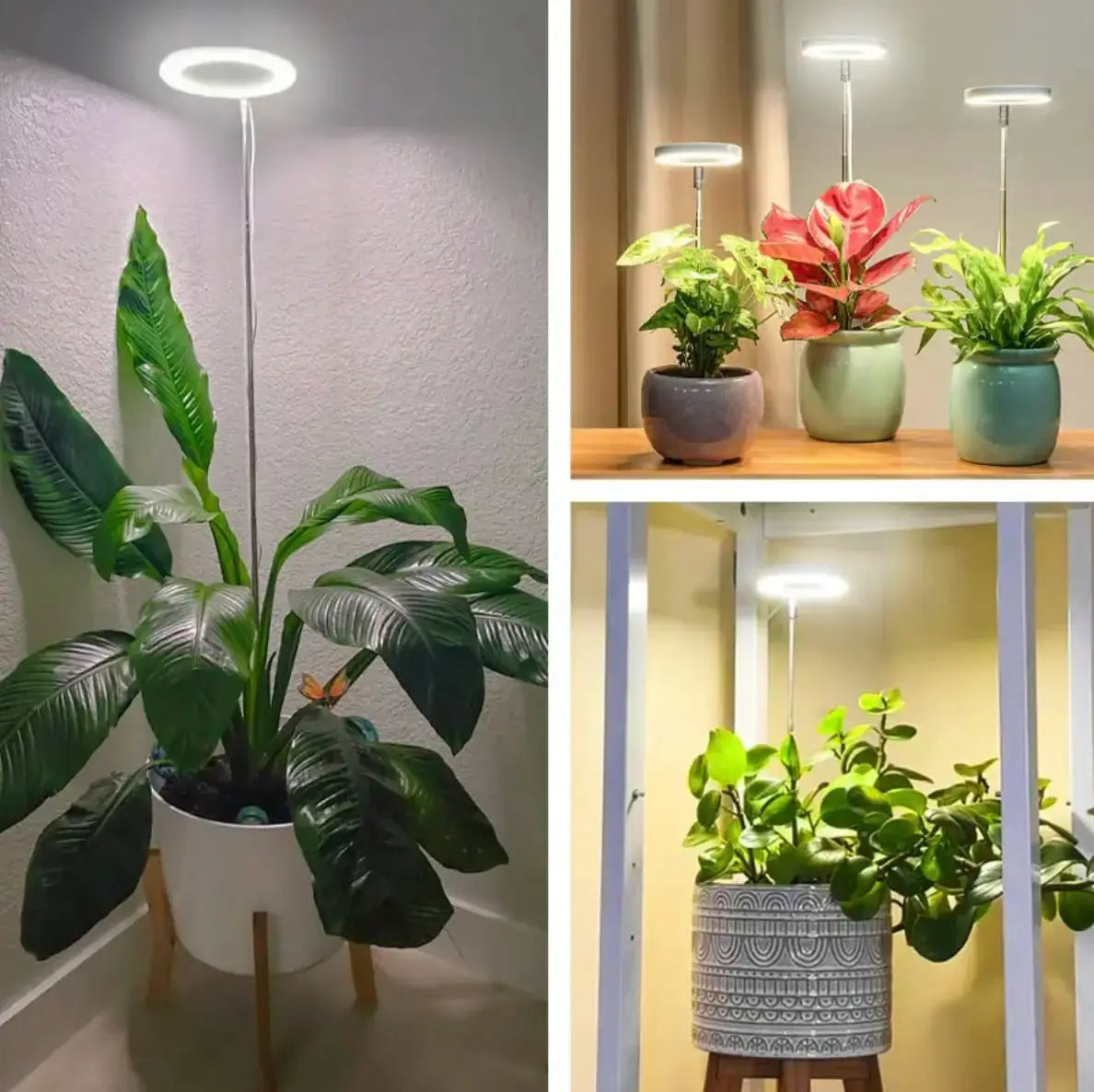 Avtoit | Adjustable LED Plant Lamp – Optimal Light for Healthy Growth