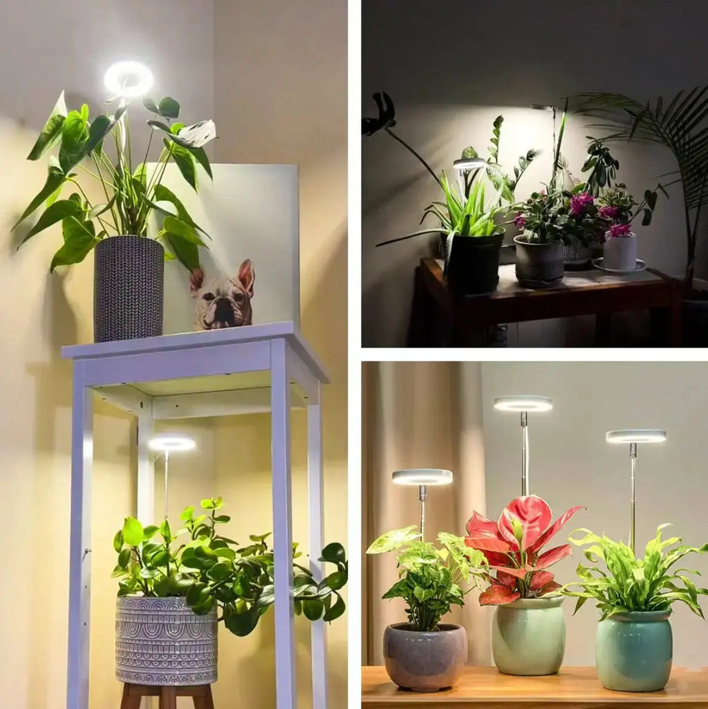 Avtoit | Adjustable LED Plant Lamp – Optimal Light for Healthy Growth