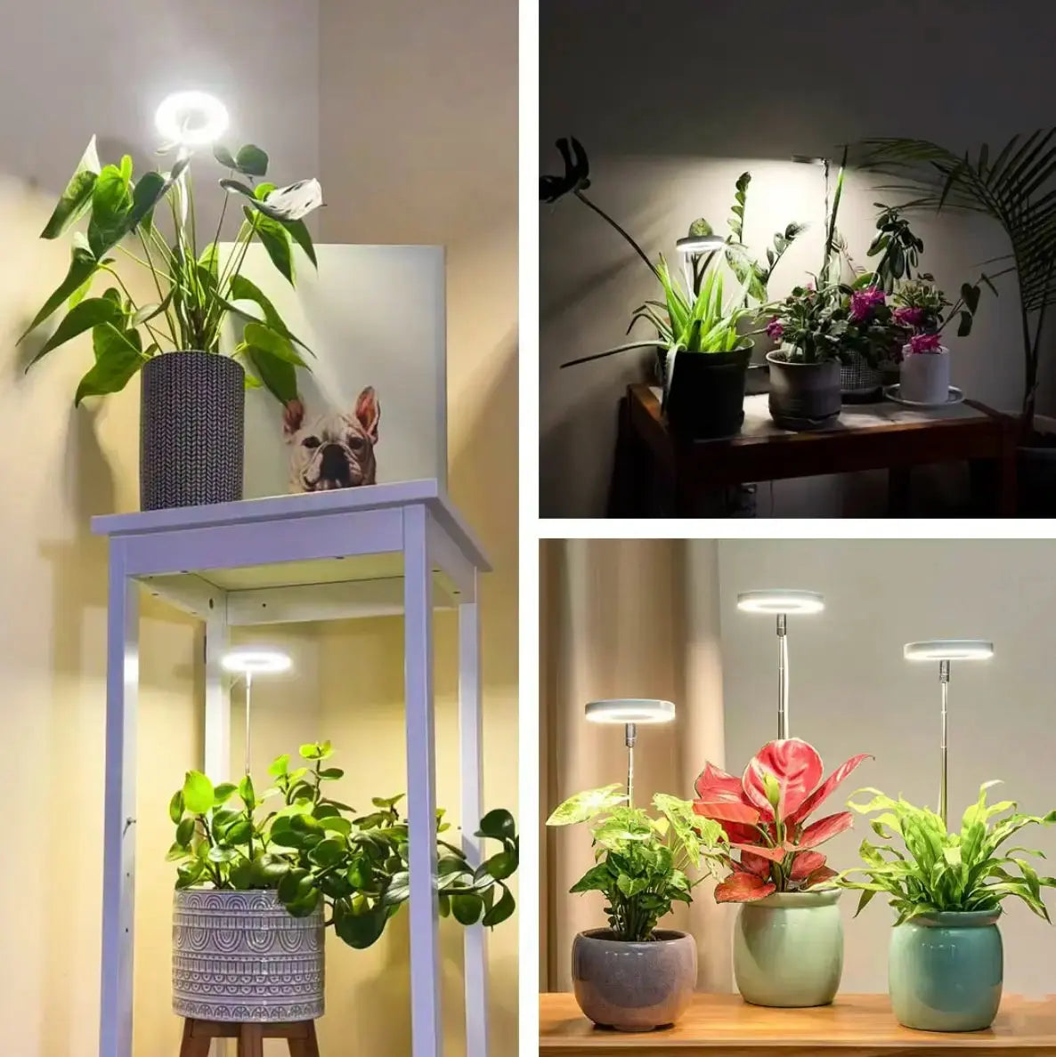 Avtoit | Adjustable LED Plant Lamp – Optimal Light for Healthy Growth