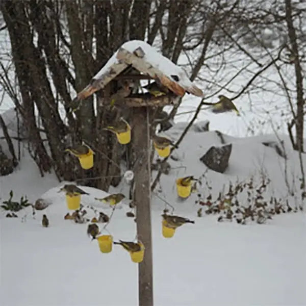 Avtoit | Bird feeder station in ferris wheel design