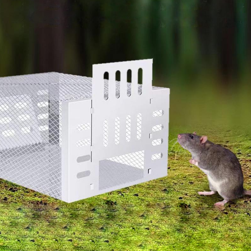 Avtoit | Humane Mouse Trap for Safe & Effective Pest Control – Reusable Large Capacity