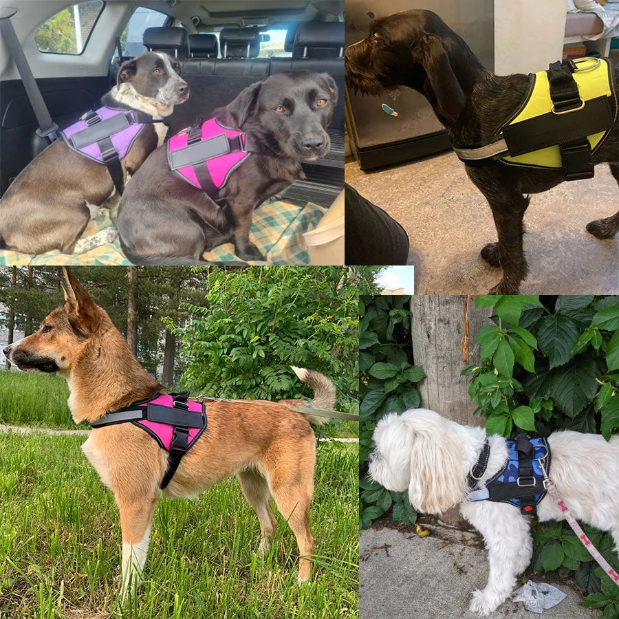 Avtoit | Anti Choke Dog Harness