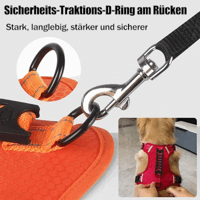 Avtoit | No Pull Dog Harness for Pets