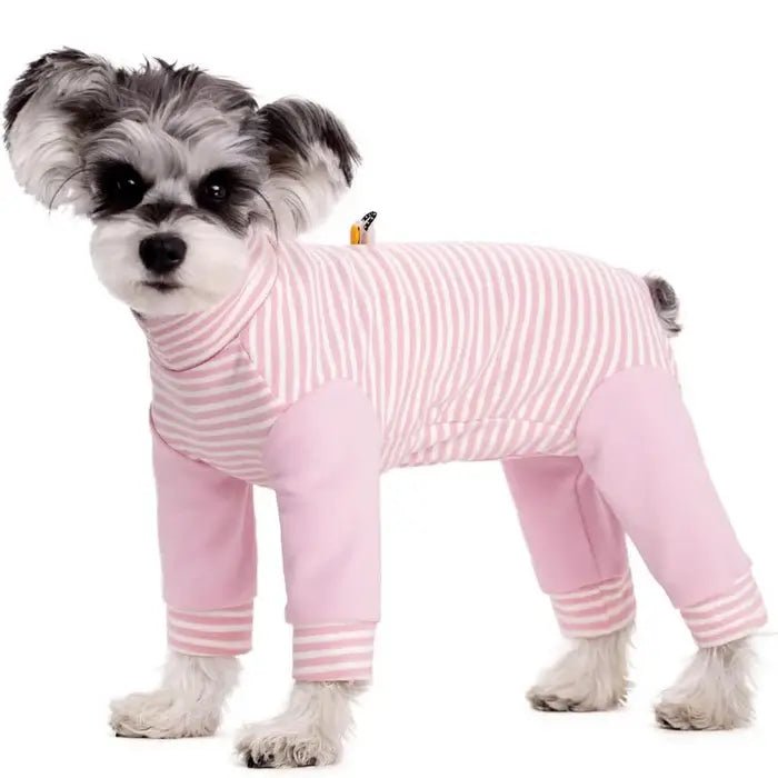 Anti-Licking • Dog Recovery Suit