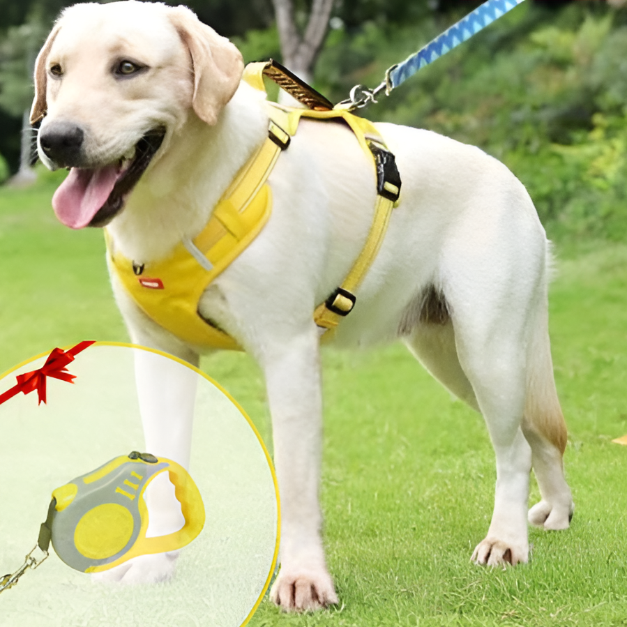 Avtoit | Anti-Pull Dog Harness - FlexiFit