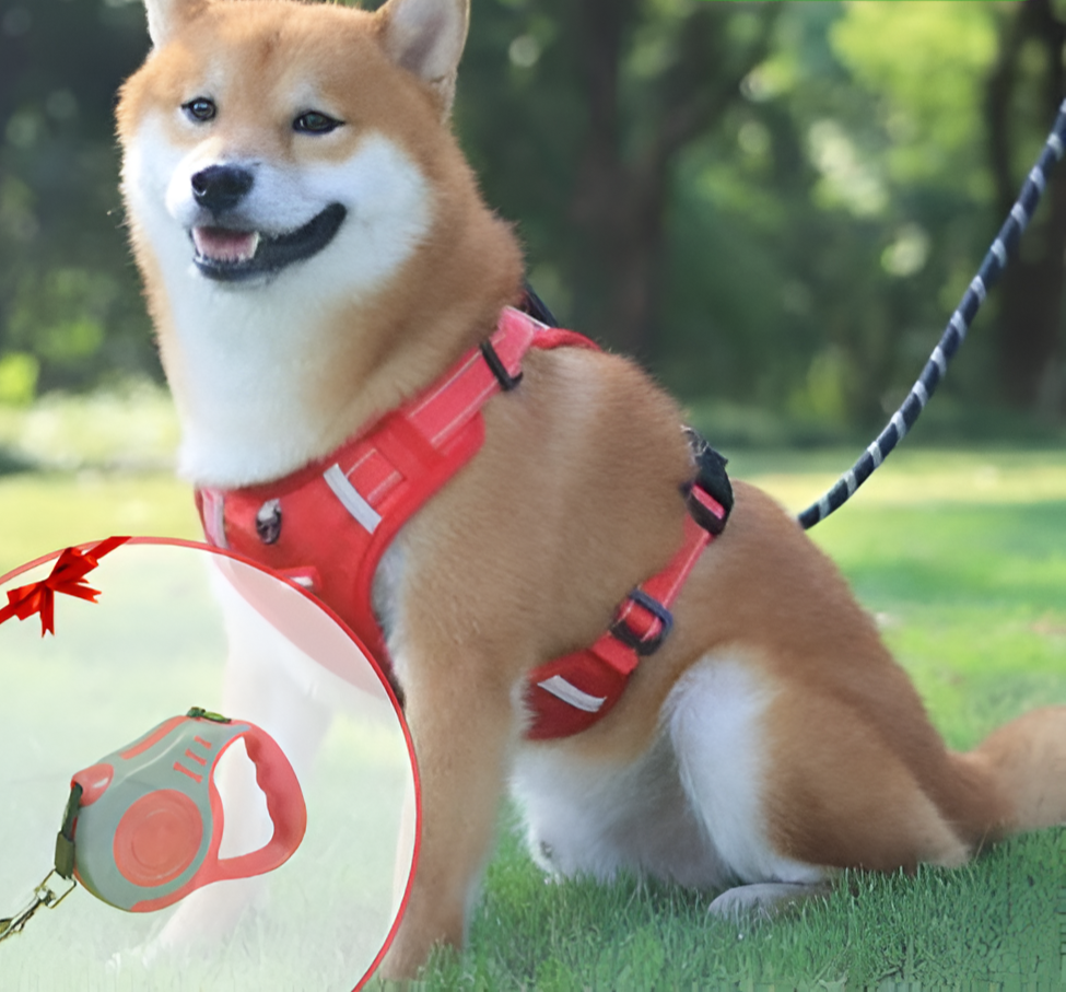 Avtoit | Anti-Pull Dog Harness - FlexiFit