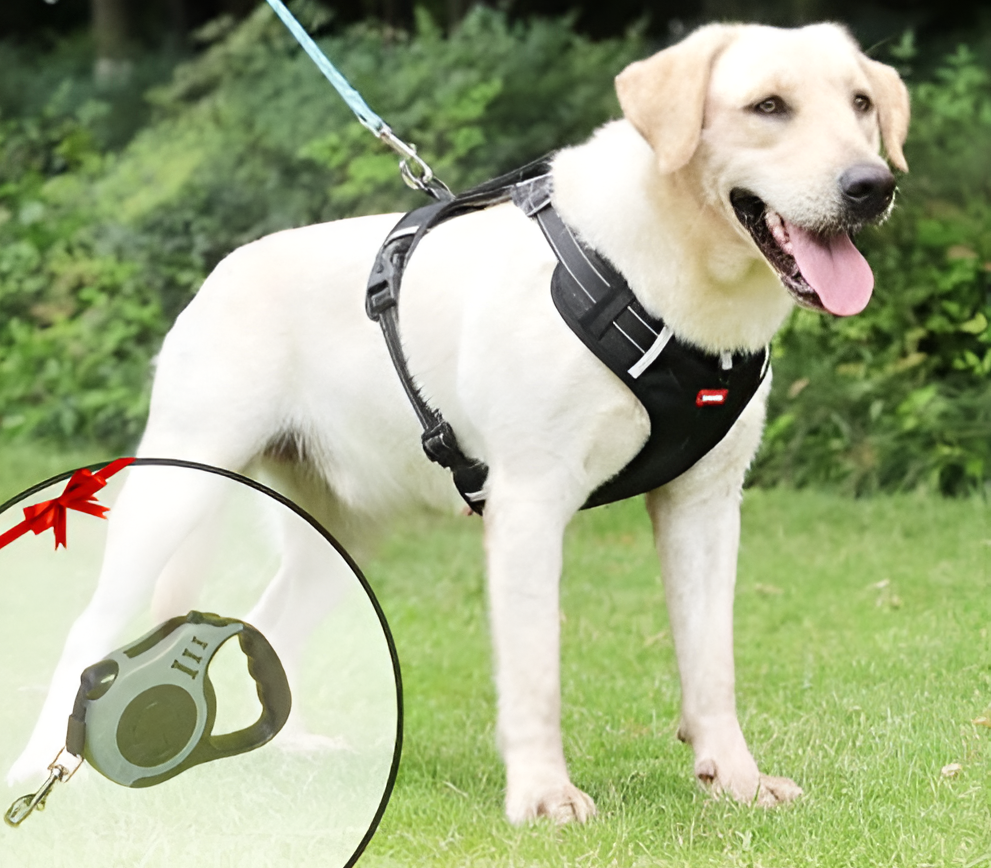 Avtoit | Anti-Pull Dog Harness - FlexiFit