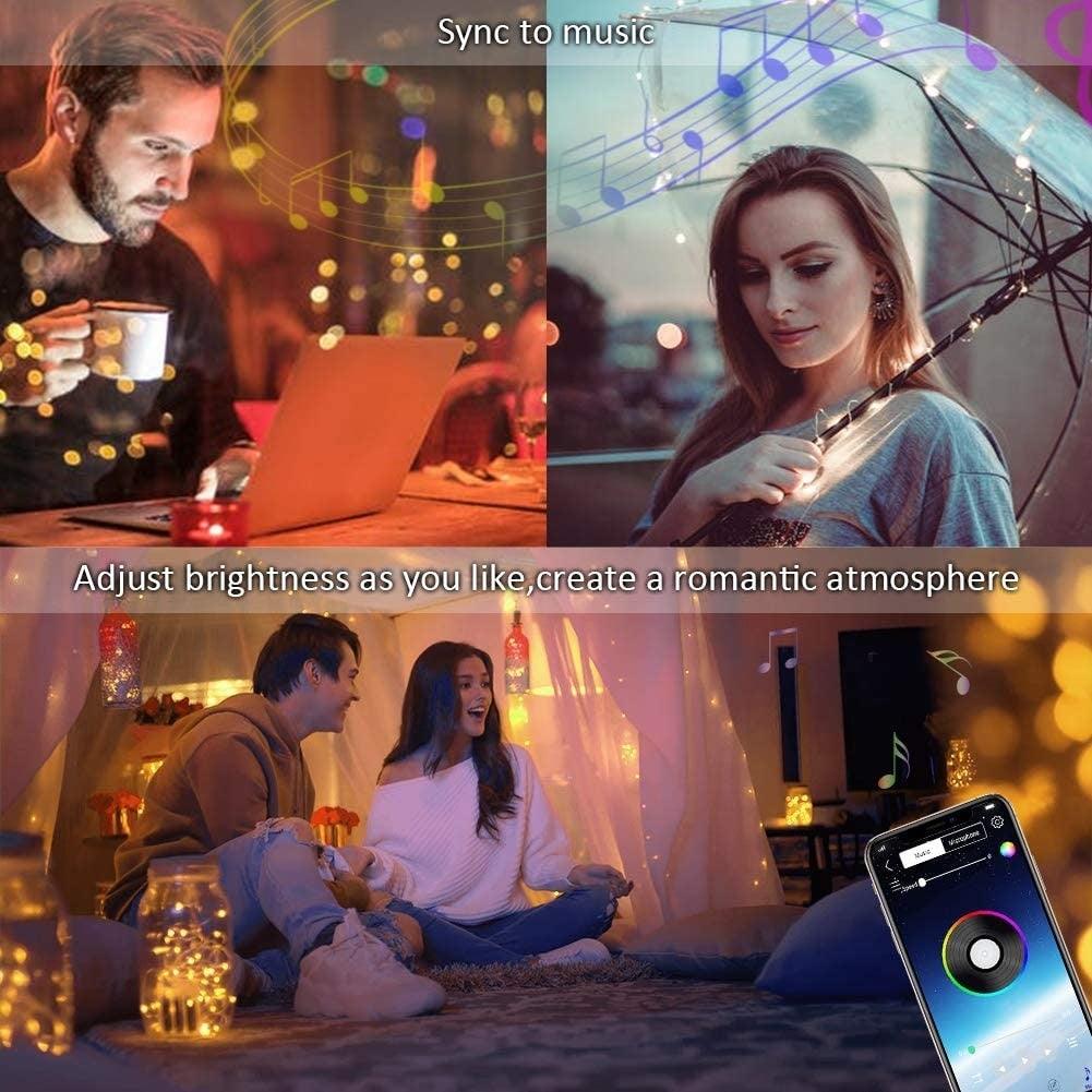 Avtoit | App Control String Lights for Christmas Tree Decoration