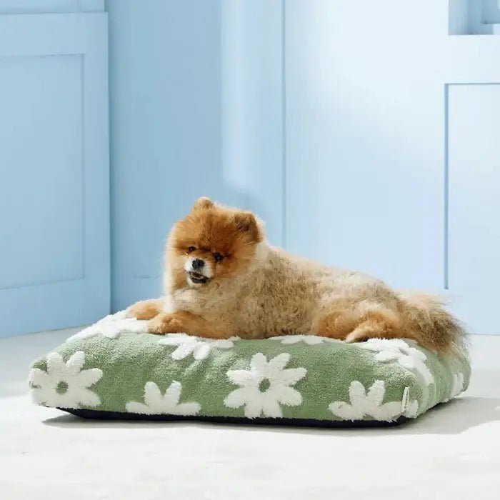 AquaRest • Waterproof Dog Bed for Indoor & Outdoor Comfort