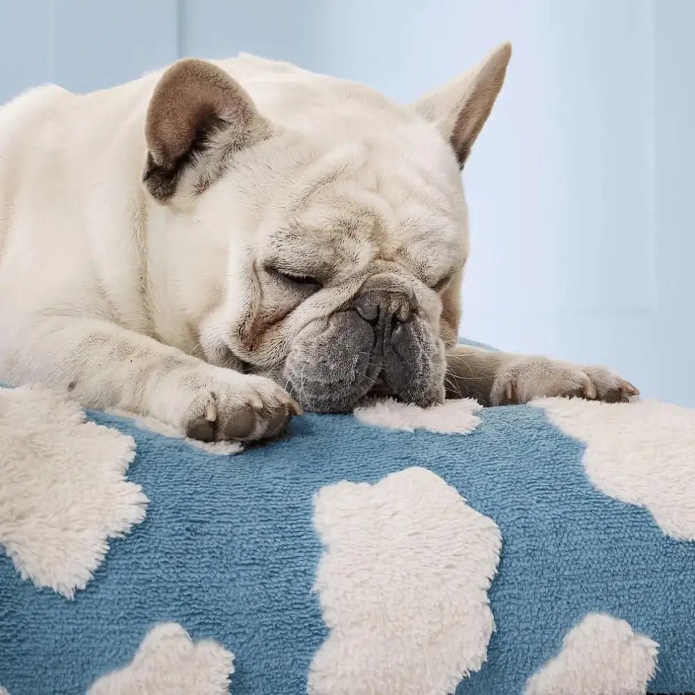AquaRest • Waterproof Dog Bed for Indoor & Outdoor Comfort