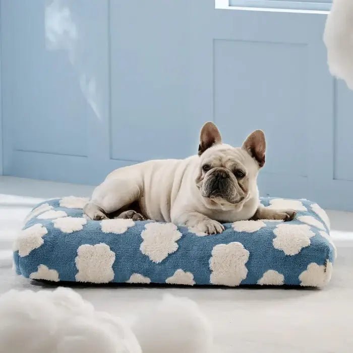 AquaRest • Waterproof Dog Bed for Indoor & Outdoor Comfort